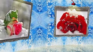 Розы на Снегу в Ледяной Галерее 1 от Киностудии Мудрого Кота Тимофея!