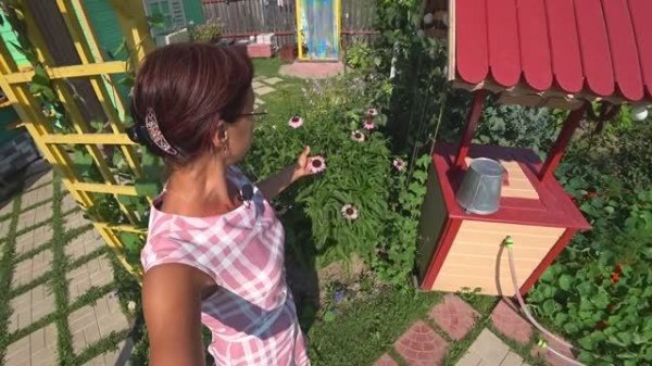 Видео привет с 6 соток 16 июля 2021 год