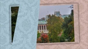 Комби-ролики ! (10)