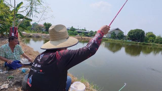 test handing феникс смотреть онлайн