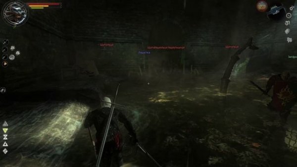 The Witcher Канализация Босс Риггер #76