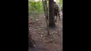 мы русские с нами Бог