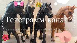 Мой телеграмм канал?,у меня он есть?лошади шляйх😍🧐🥳