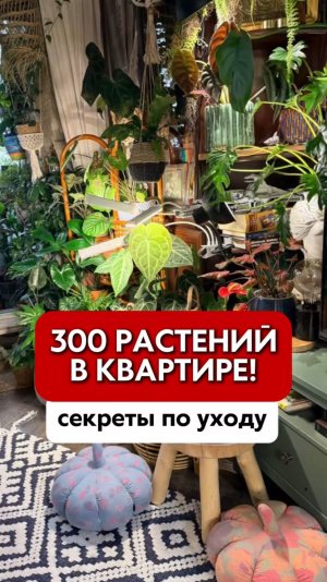 Почему растения умирают? Главная ошибка ПЕРЕЛИВ