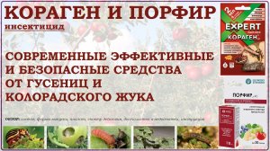 Кораген и Порфир - современные, эффективные и безопасные средства от вредителей. Обзор 2026 года