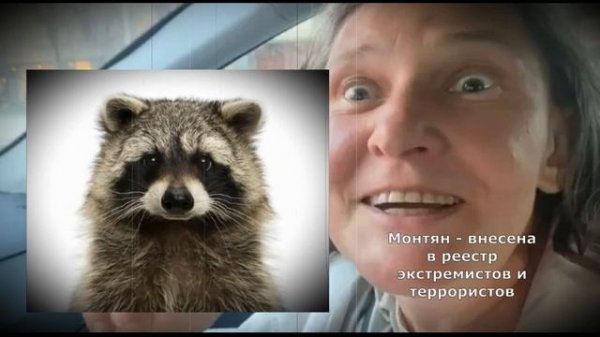 Монтян... Прокололась или борзеет?..