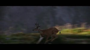 Официальный трейлер "Охотник на оленей / The Man Who Came to Play (1978)"