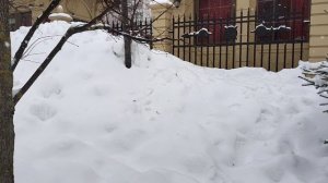 Метёт и метёт...😄Снегопады и метели в Москве.