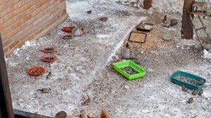 по разным сторонам