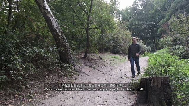 Week.07.01.Introduction смотреть онлайн