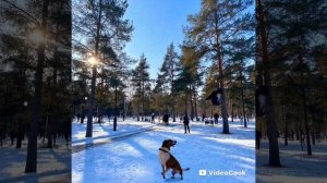 Подморозило