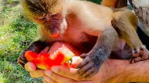 Влад в ШОКЕ, мы вообще стали не нужны Степе и Мане, у них теперь правит МАМА-ЛЮСЯ(((