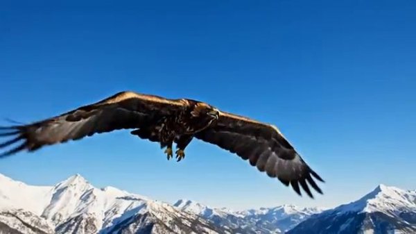 Gentle Snowfall & Birdsong - Piano Music for Peaceful Mind & Heart Healing ❄️🎶