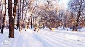 СПЕШИМ ДОМОЙ НЕМНОГО ЗАМЁРЗ ХОЧЕТСЯ УЖЕ ГОРЯЧЕГО ЧАЯ ВОКРУГ КРАСОТА НО ХОЛОДНО