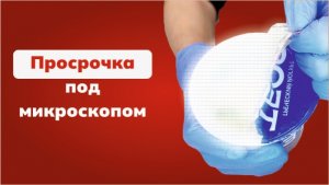 ПРОСРОЧКА ПОД МИКРОСКОПОМ: что мы нашли?