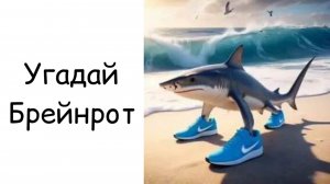 Угадай Брейнрот