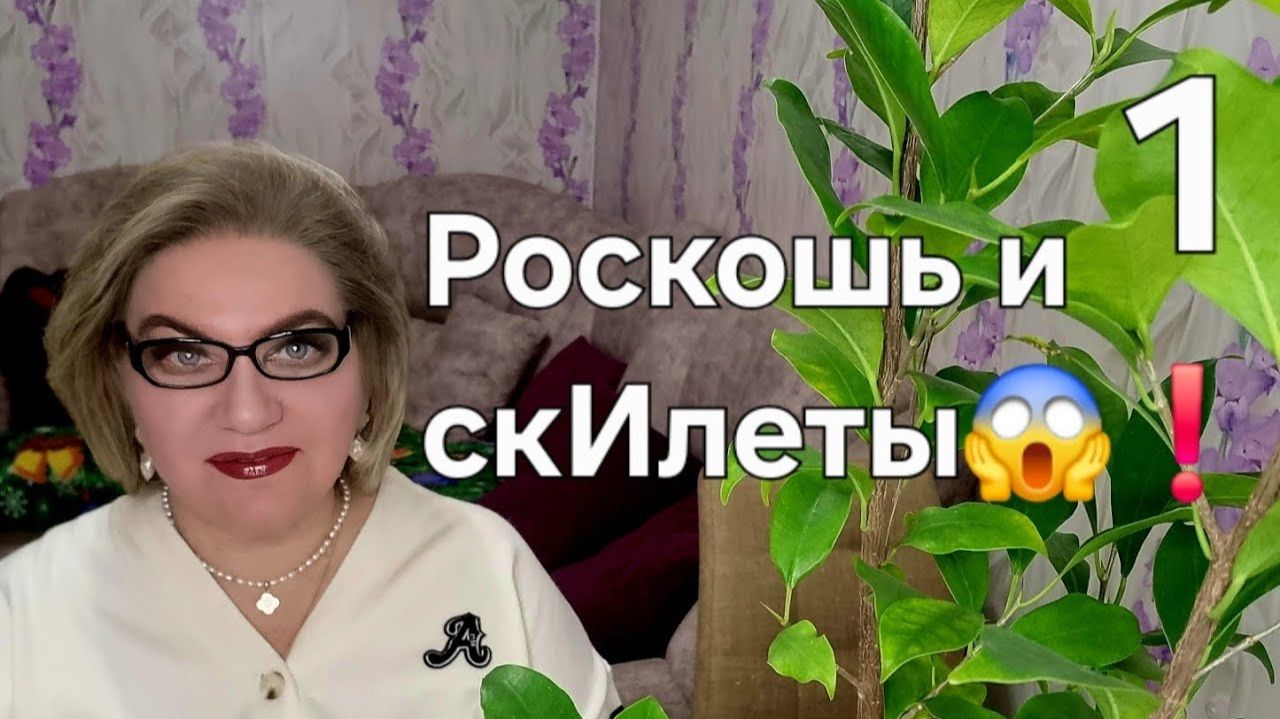 1 часть. Роскошь и скИлеты😱❗️ смотреть онлайн