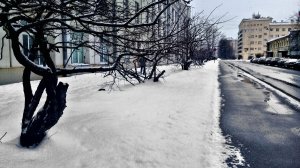 Прогулка по снежной улице