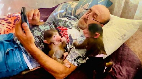 СМЕХ! Я захожу в спальню и вижу-Степа, Маня и Влад втихоря смотрят ‘’УРАЛЬСКИЕ ПЕЛЬМЕНИ’’!