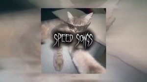 Плейлист рандомных треков 2026 speed up