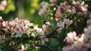 Весна 🌱🌸☀️ Ощущения из детства