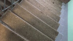 Теорема ЖКХ_Подъезд_2026.02.13_13-30