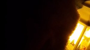 пятница тринадцатая 13.02 26 страшилки от всех АаААА БАБЁР😱😱😱😱🙀🙀