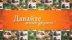 Златогривые львы, яркие попугаи Аро и декоративные курочки на гастролях в Волгограде