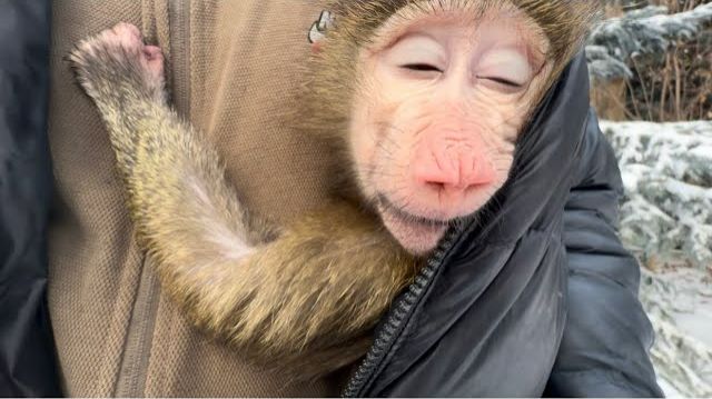 Степа пытается поймать Анфису, но она умная девочка, в лапы Дон Жуана не идет😁 смотреть онлайн