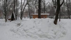 На оленях 30.01.22