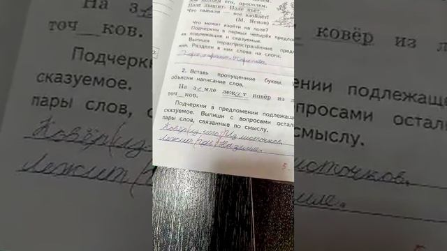 просто трансляция:)♥️