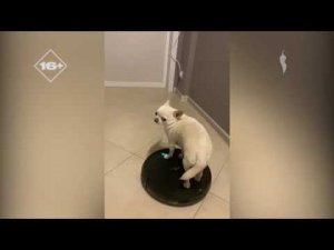 Рестарт эфира Перец International 01.12.2025