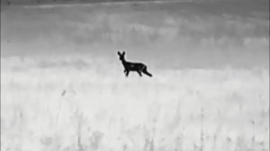 Тепловизионный прицел Arkon Arma SR25L