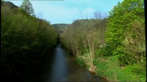 Haider lebt - 1. April 2021