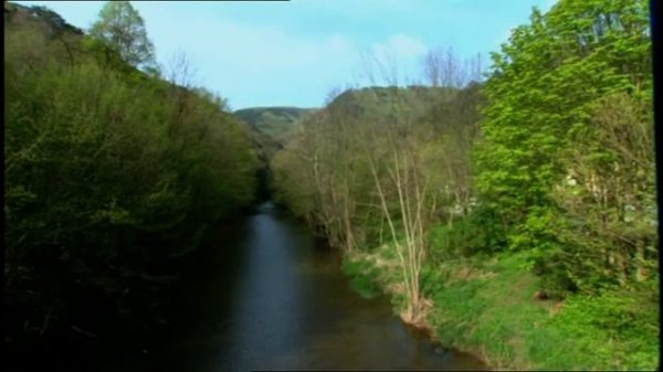 Haider lebt - 1. April 2021