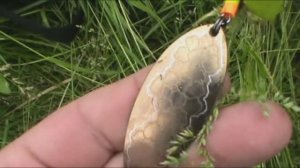 Спиннинг после грозы.Колебалки,вертушки.Восточный ветер.