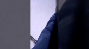 Приветики солнышки)  Я И Полечка прогуливаемся)