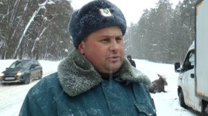 Сегодня произошла авария с участием лося в Высокогорском районе