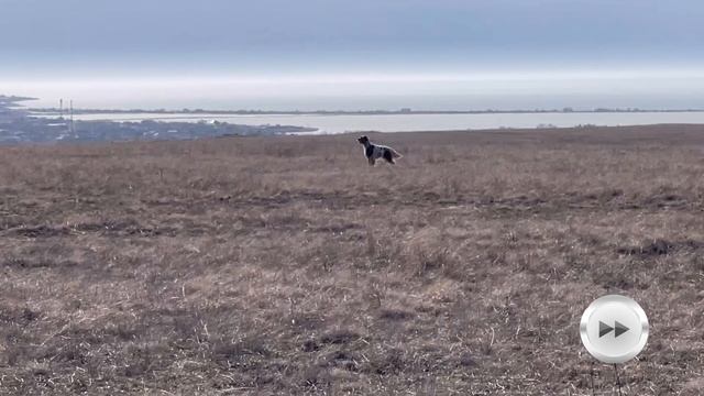 Кузя.13.02.26. смотреть онлайн