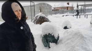 Прогулка по саду в феврале 2026 года.