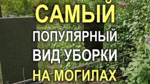 812M - Самый популярный вид уборки на могилах в Кривом Роге