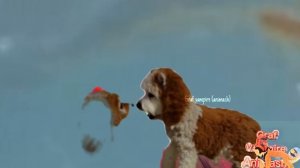 Клип Веселые зверята/Мои игрушки и рисунки)