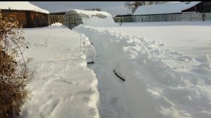 Пробираемся к теплице сквозь снег