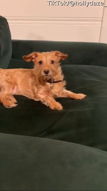 Такой концовки я и сам не ожидал (198) смотреть онлайн