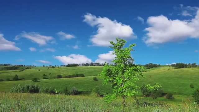 МУЗЫКА ДЛЯ РЕЛАКСА: ПОМОГАЕТ ПОГРУЗИТЬСЯ В СОН И ОСВОБОДИТЬСЯ ОТ НАПРЯЖЕНИЯ смотреть онлайн