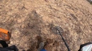 весной всегда находки есть .