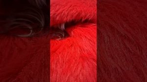 Найди меня😂