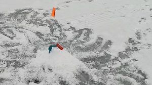 Проверяю оставленные на ночь жерлицы