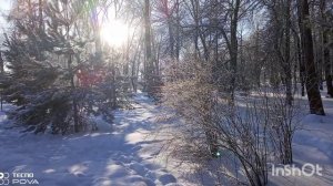 КАКОВА КРАСОТА ПОСМОТРИТЕ МОРОЗ МИНУС 26 НО ПРОГУЛКА ПО РАСПИСАНИЮ НЕЛЬЗЯ ПРОПУСТИТЬ ПРИВЕТ ВСЕМ