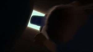 клип Ральф и Феликс